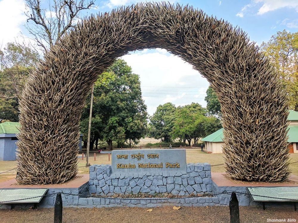 Kanha National Park Tour
